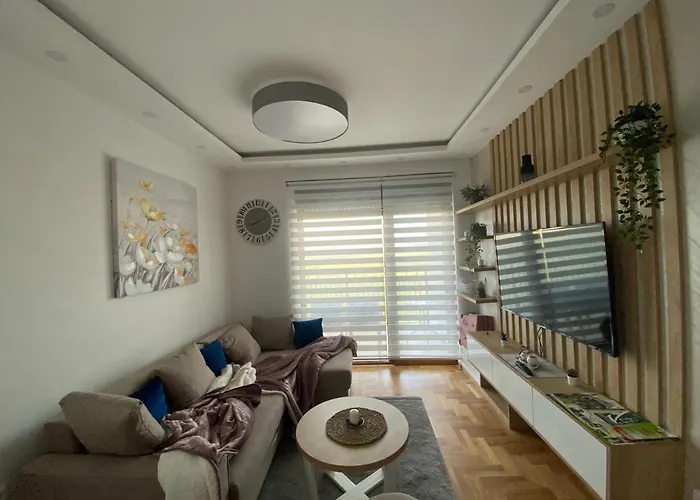 Markoni 즐라티보