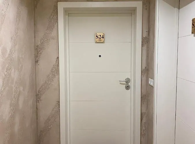 Markoni 즐라티보