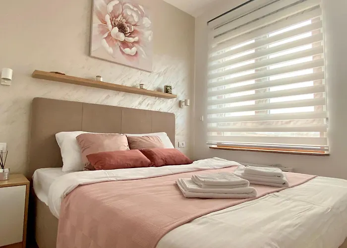 Markoni 즐라티보