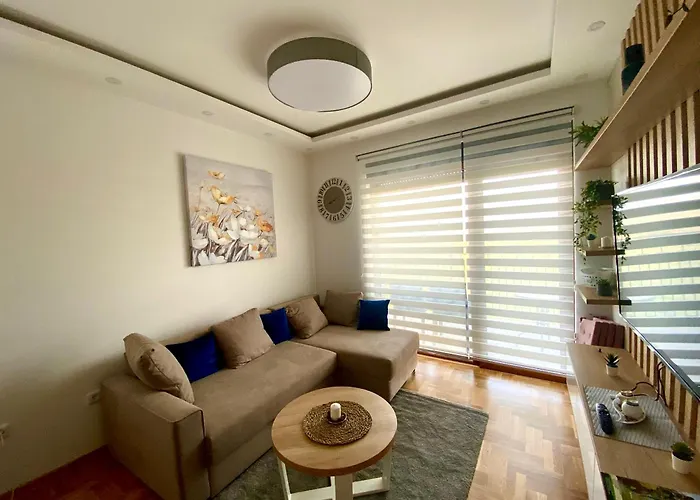 Markoni 즐라티보